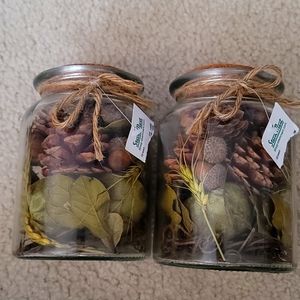 SteinMart Glass Jar Greenery decorative room he ascending